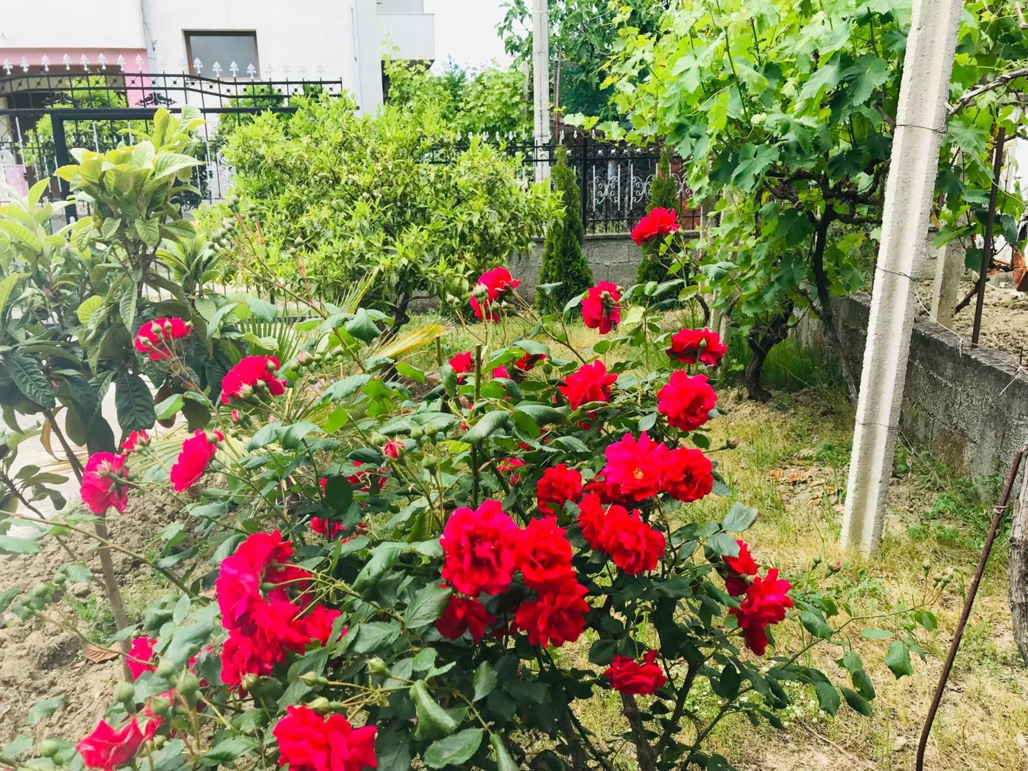 Villa Ajla Durres Luaran gambar
